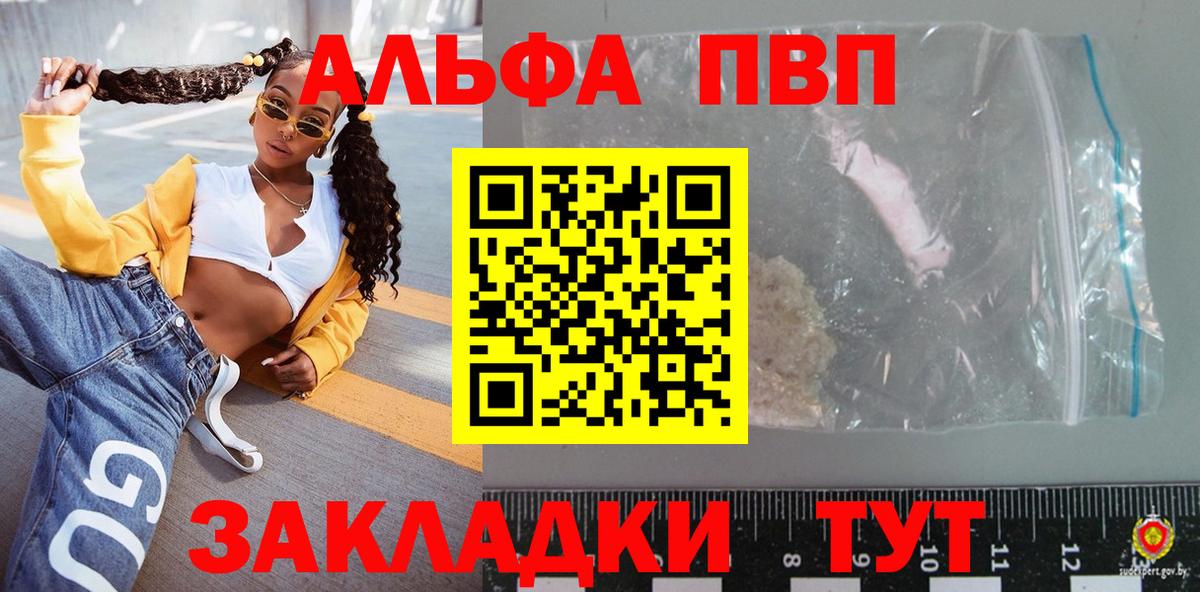 A PVP СК КРИС Нововоронеж
