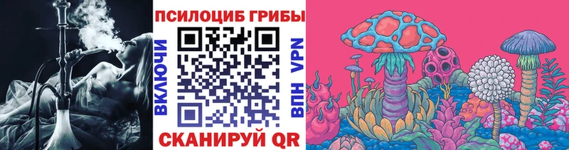 Галлюциногенные грибы мухоморы купить наркоту Нововоронеж