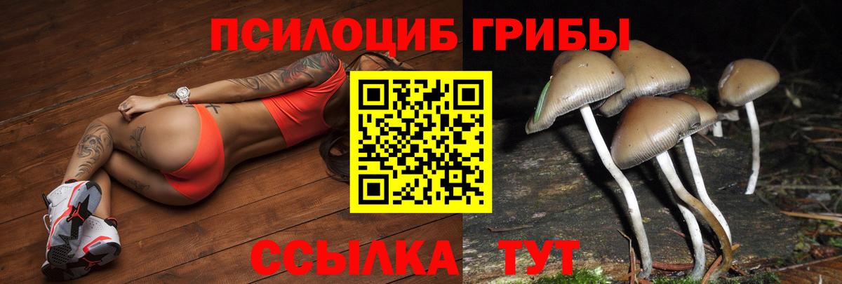 Нововоронеж  Псилоцибиновые грибы мицелий  Вход с VPN 