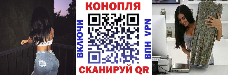 маркетплейс как зайти  Нововоронеж  Каннабис сатива  мега ссылки 